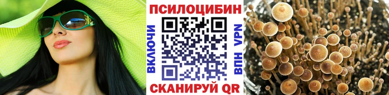 Псилоцибиновые грибы мухоморы Алапаевск